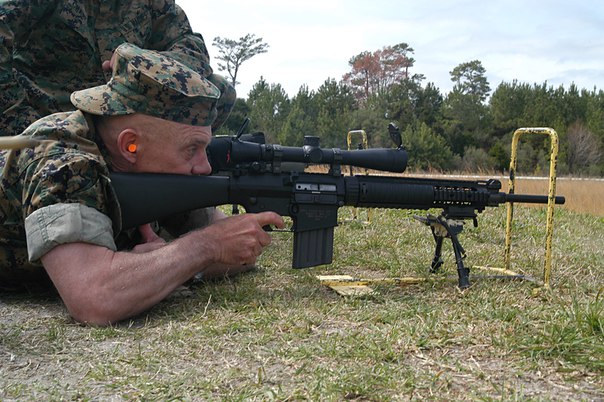 DLYA2.5 SR25